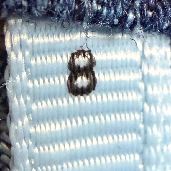 Tribal Jeans Audrey Mid-Rise Straight Crop Pull On Jeans Size 8 - Picture 10 of 13